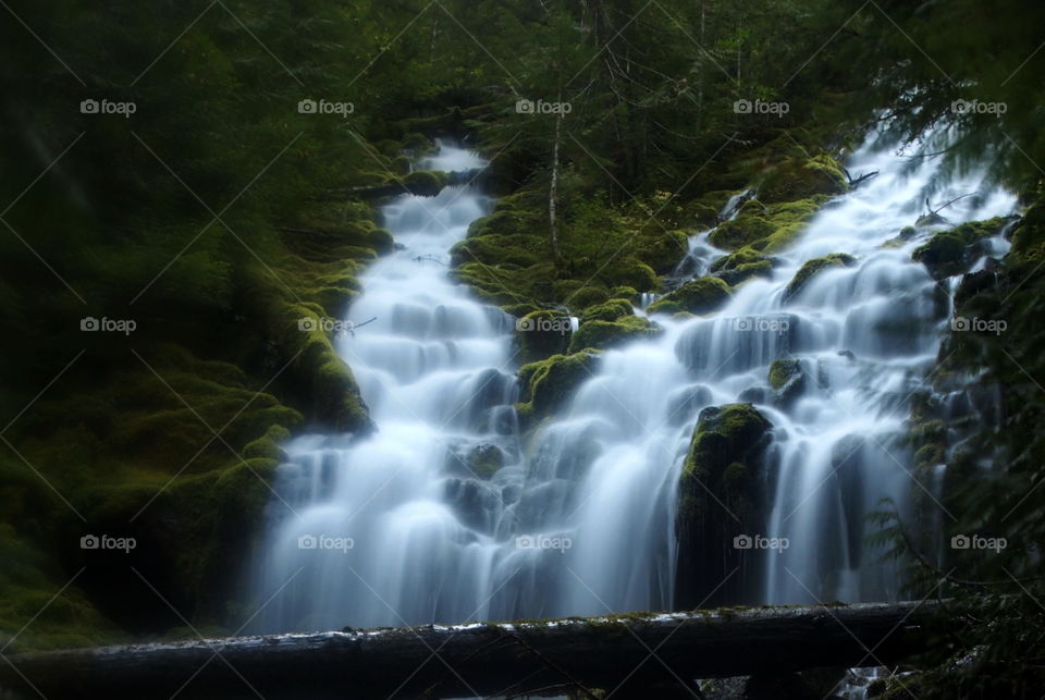 Scenic view of waterfall