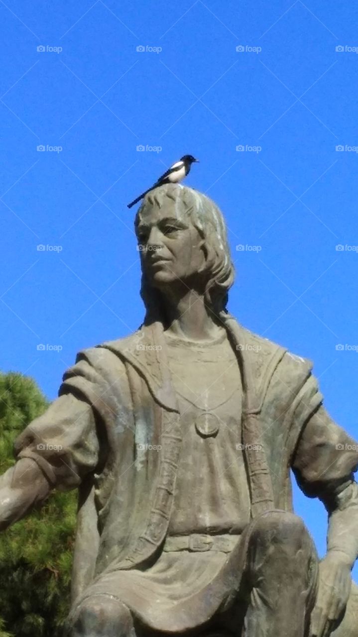 A bird and statue