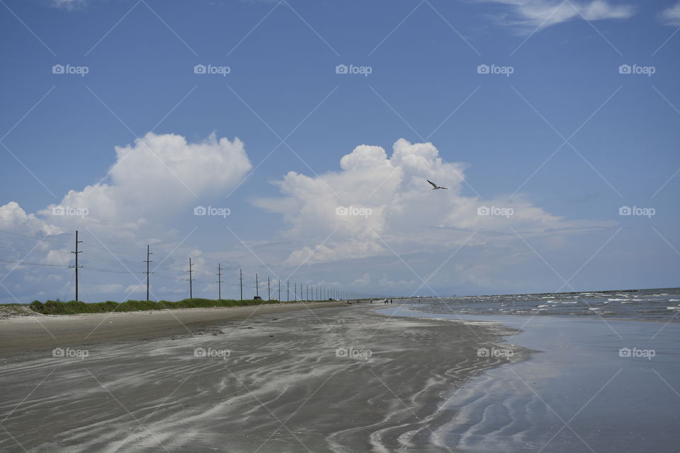 Sunny day is beach day