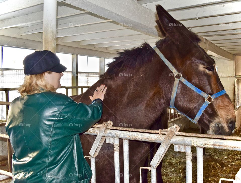 Bucket List Vacation