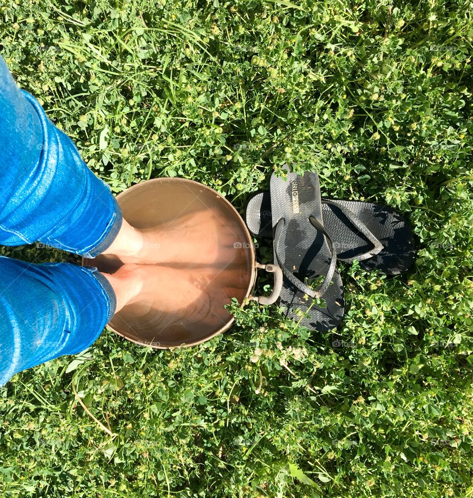 Cooling off in hot summer in tin pot of cool water on grass from where I stand