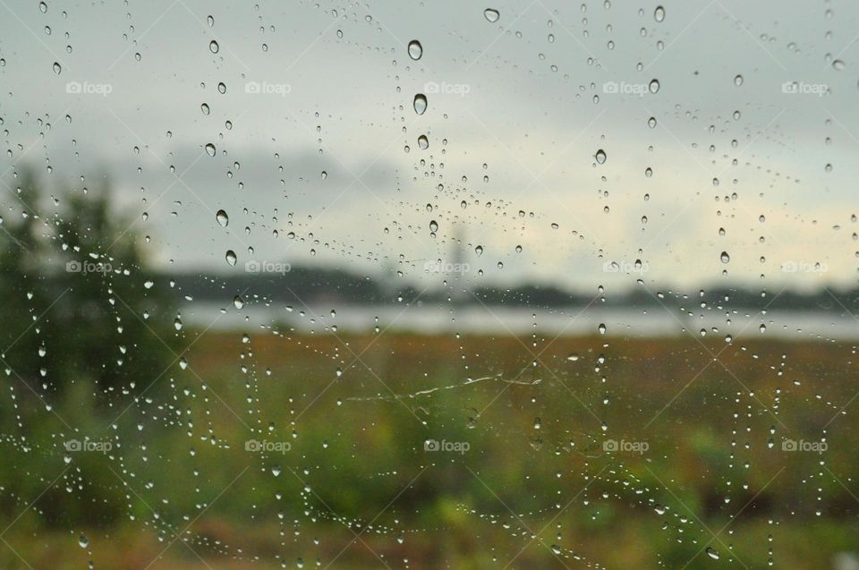 drops on glass