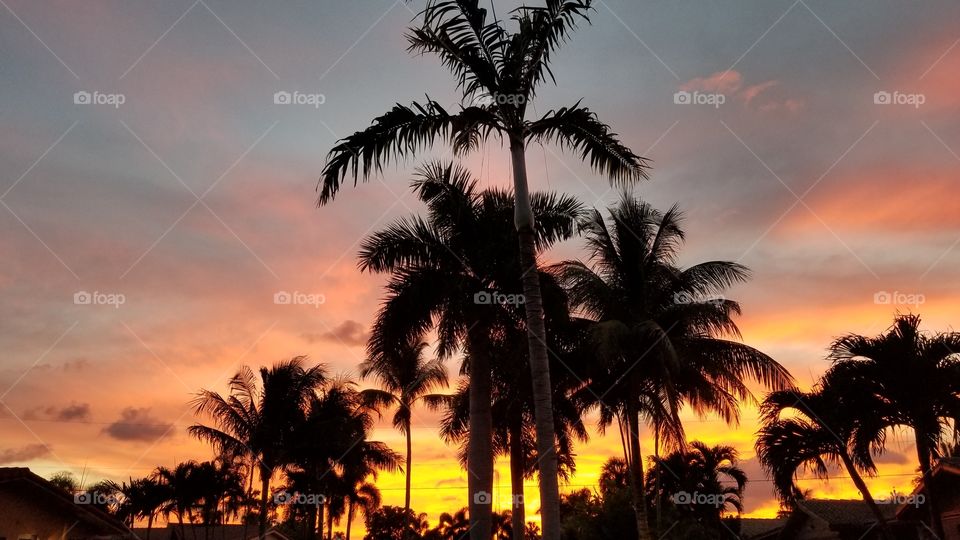 Fort Lauderdale sunset October 6. 2018