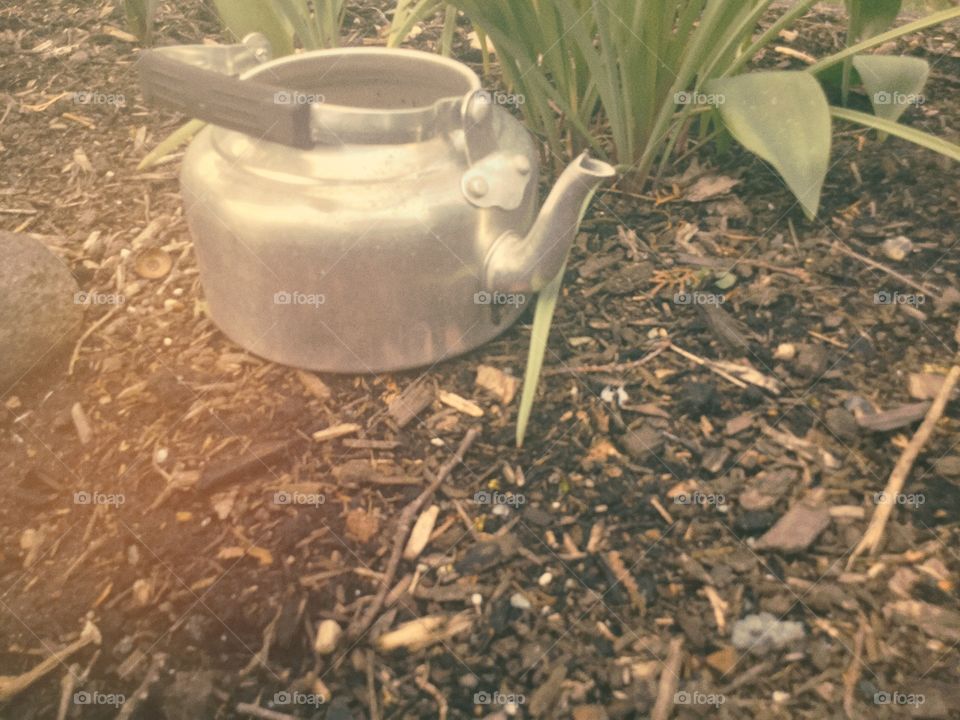 The Antique Metal Teapot left in the Garden of my Childhood Home