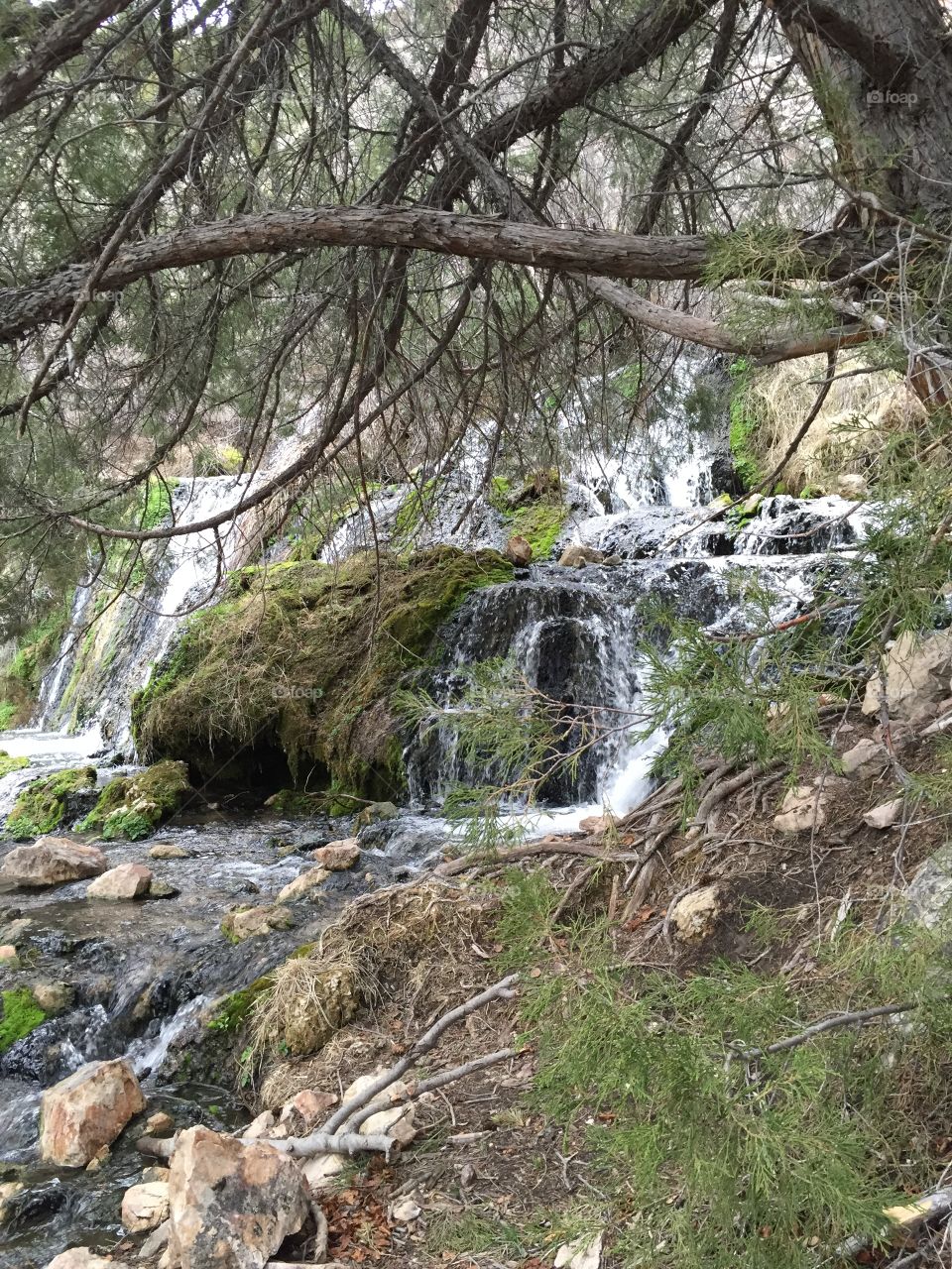 Goldbug Hot Springs