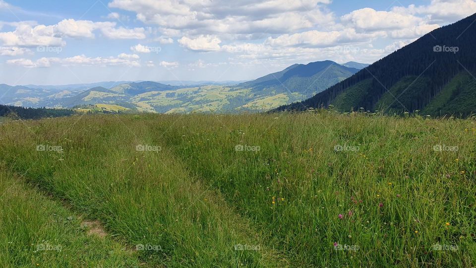 Mountain summer landscape