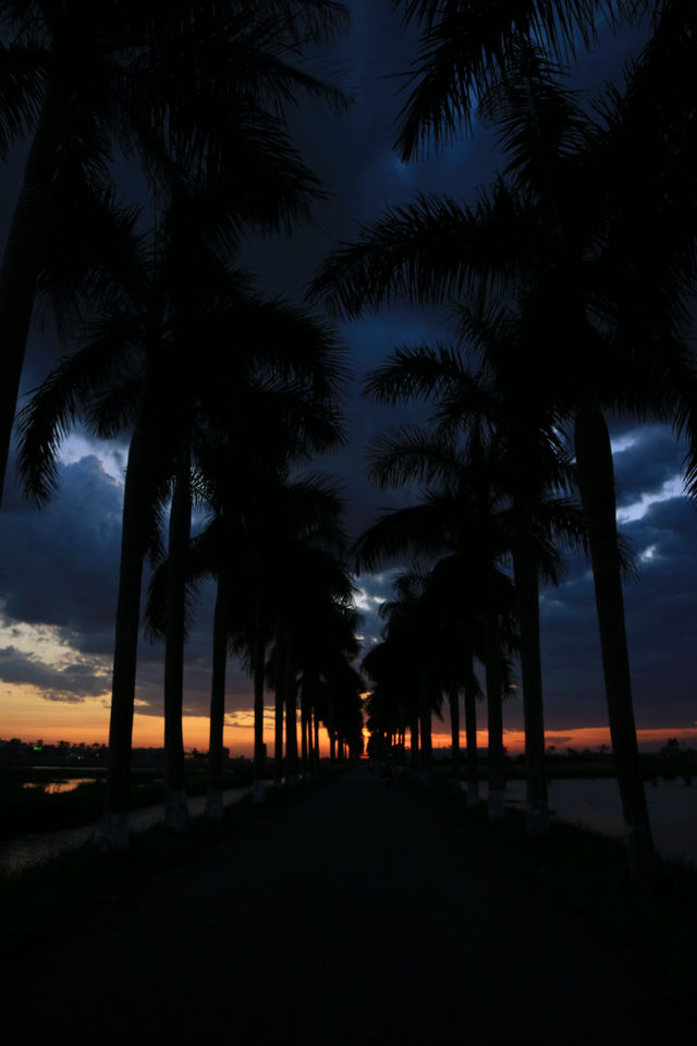 Sunset Road
