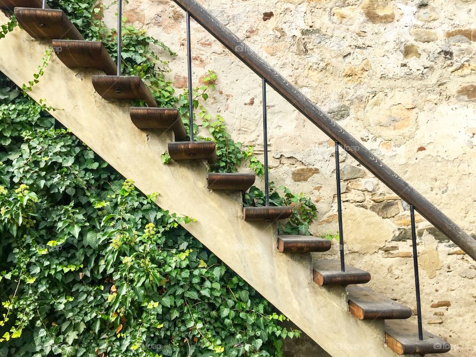Poison ivy stairway