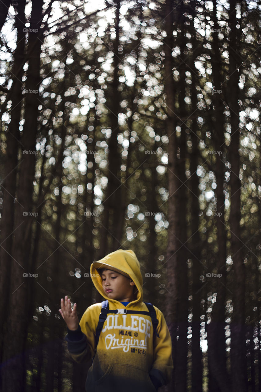 Seasonal outdoor portrait of a lonely happy Eurasian kid hiking in a pine forest wood.Natural setting, the boy is wearing yellow sweater with hood and cap, looking at his hand surrounded by pinetrees and magical day light bokeh