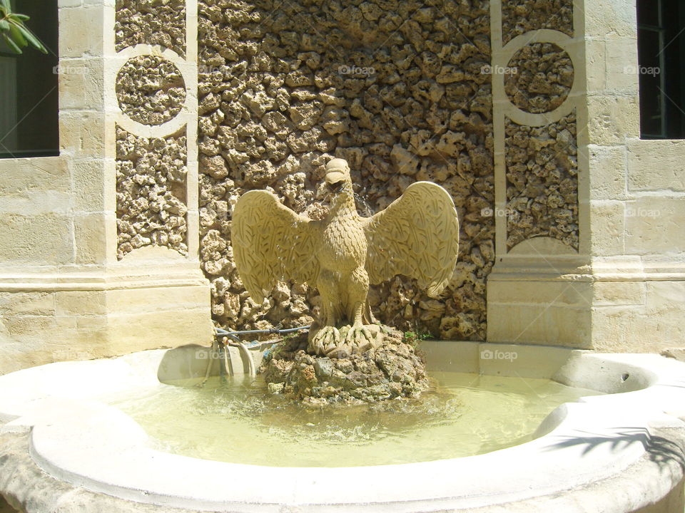 Malta La Valletta eagle statue in fountain