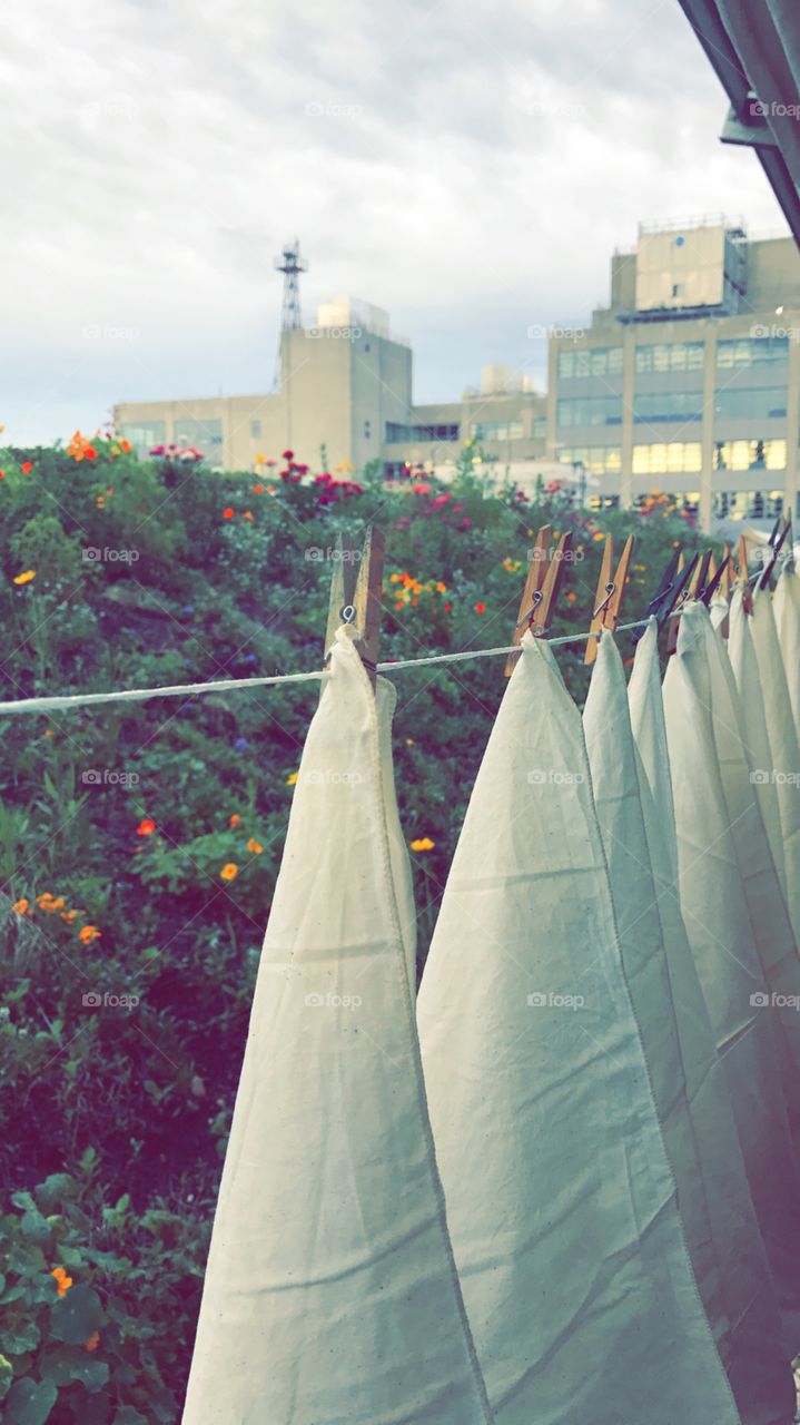 Cotton hangs on the line against a backdrop of fliers and Brooklyn NewYork 