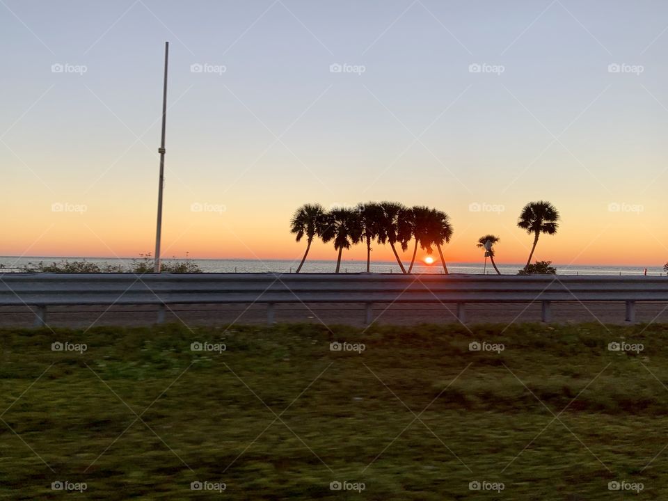 Palm Trees & Sunrise, Bay Morning Views