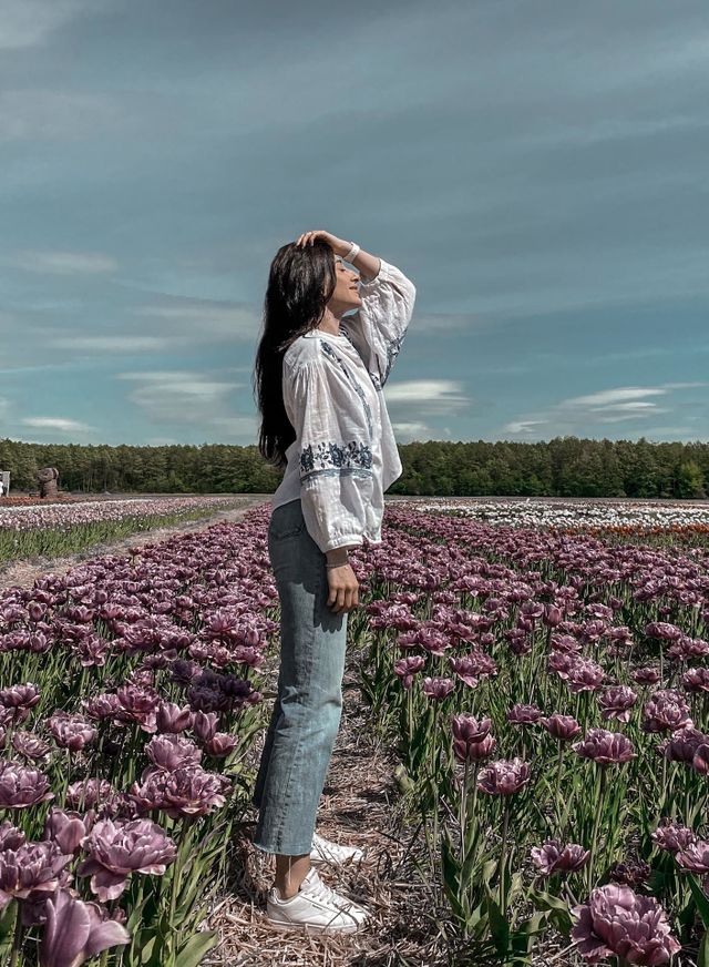 Ukrainian nature 