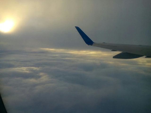 Flight