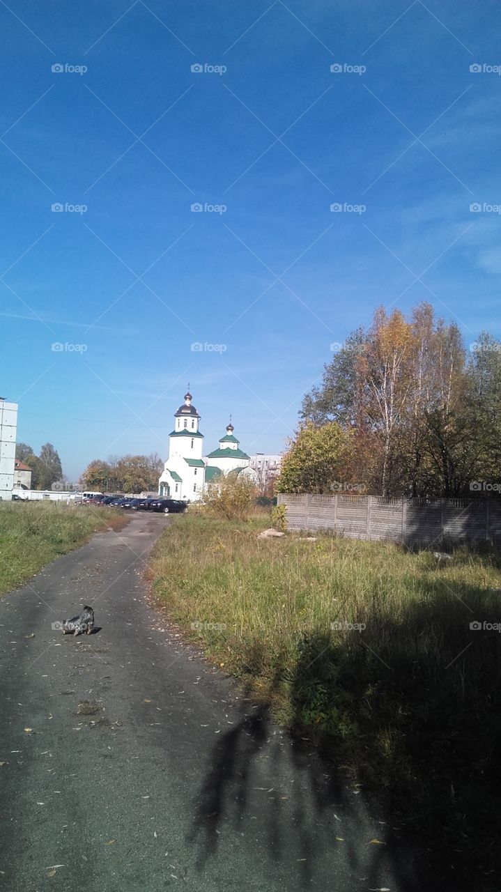 No Person, Landscape, Road, Tree, Travel