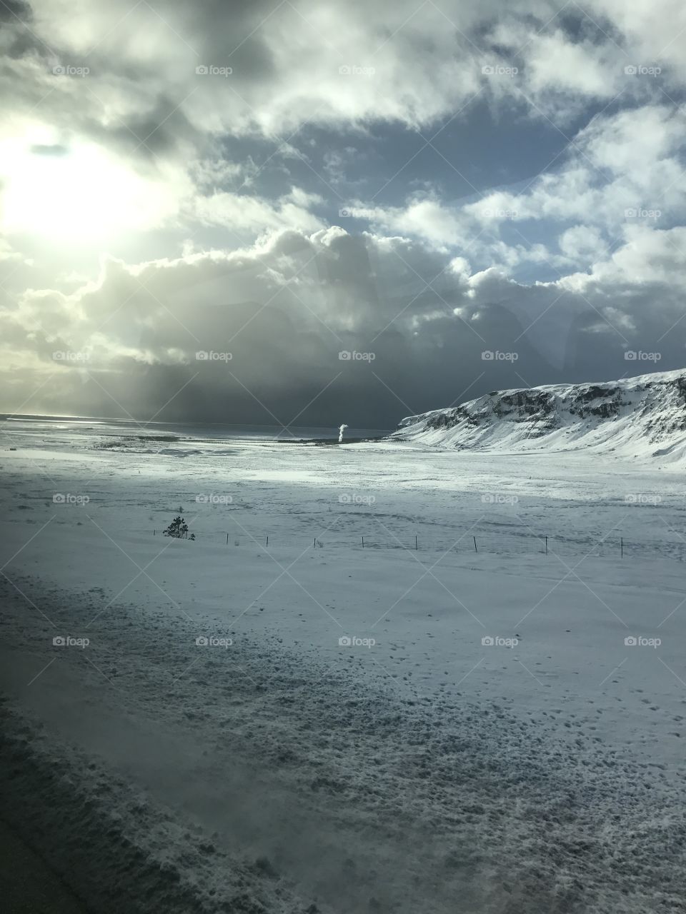 Geyser in Iceland