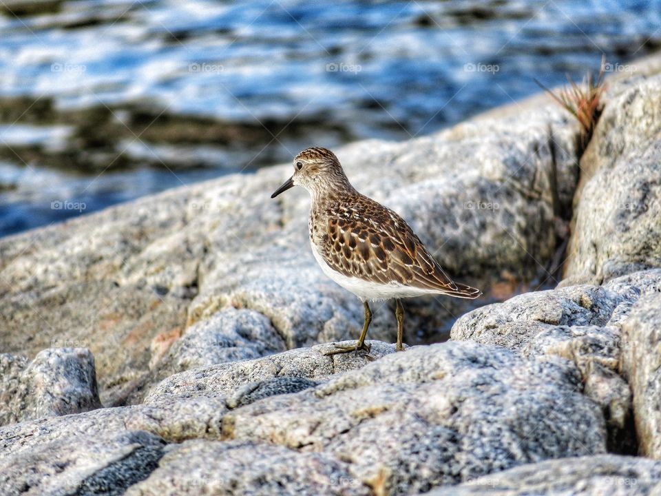 Tadoussac Québec