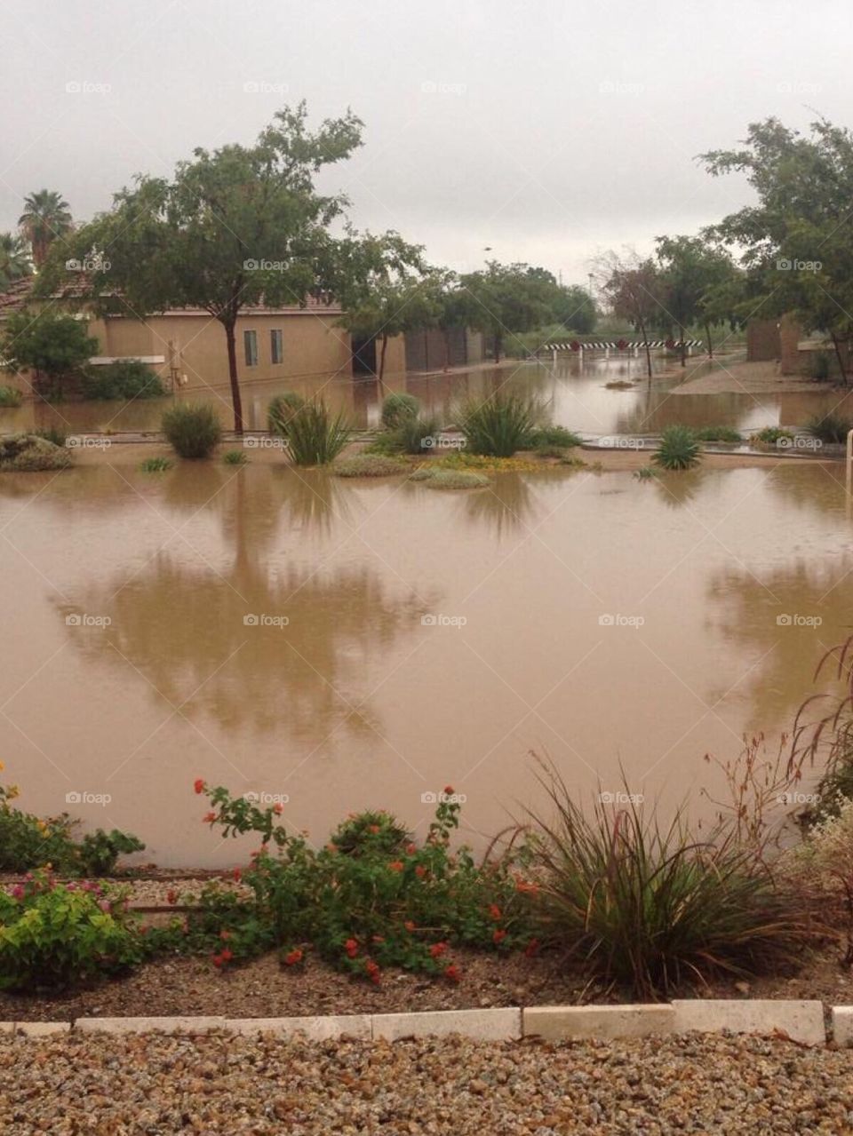 Residential flood