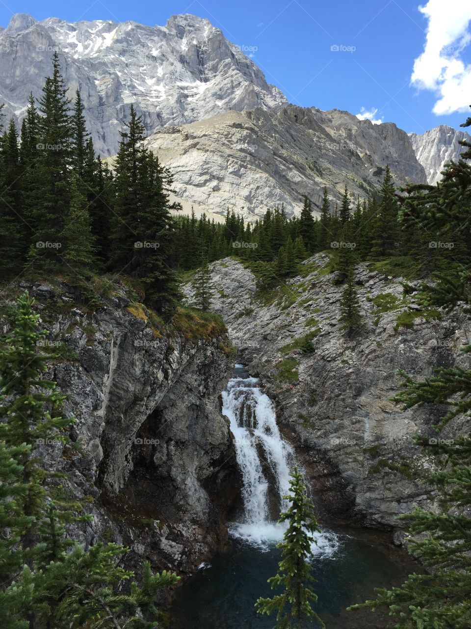 Kananaskis beauties 