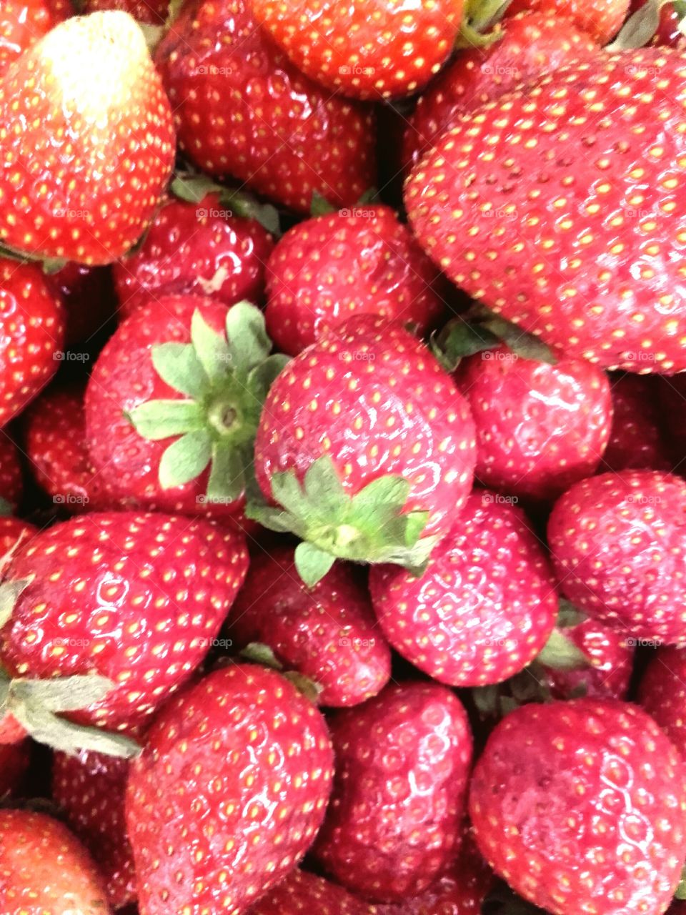 Strawberries