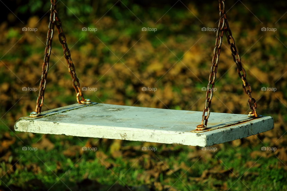 hammock . hammock in autumm