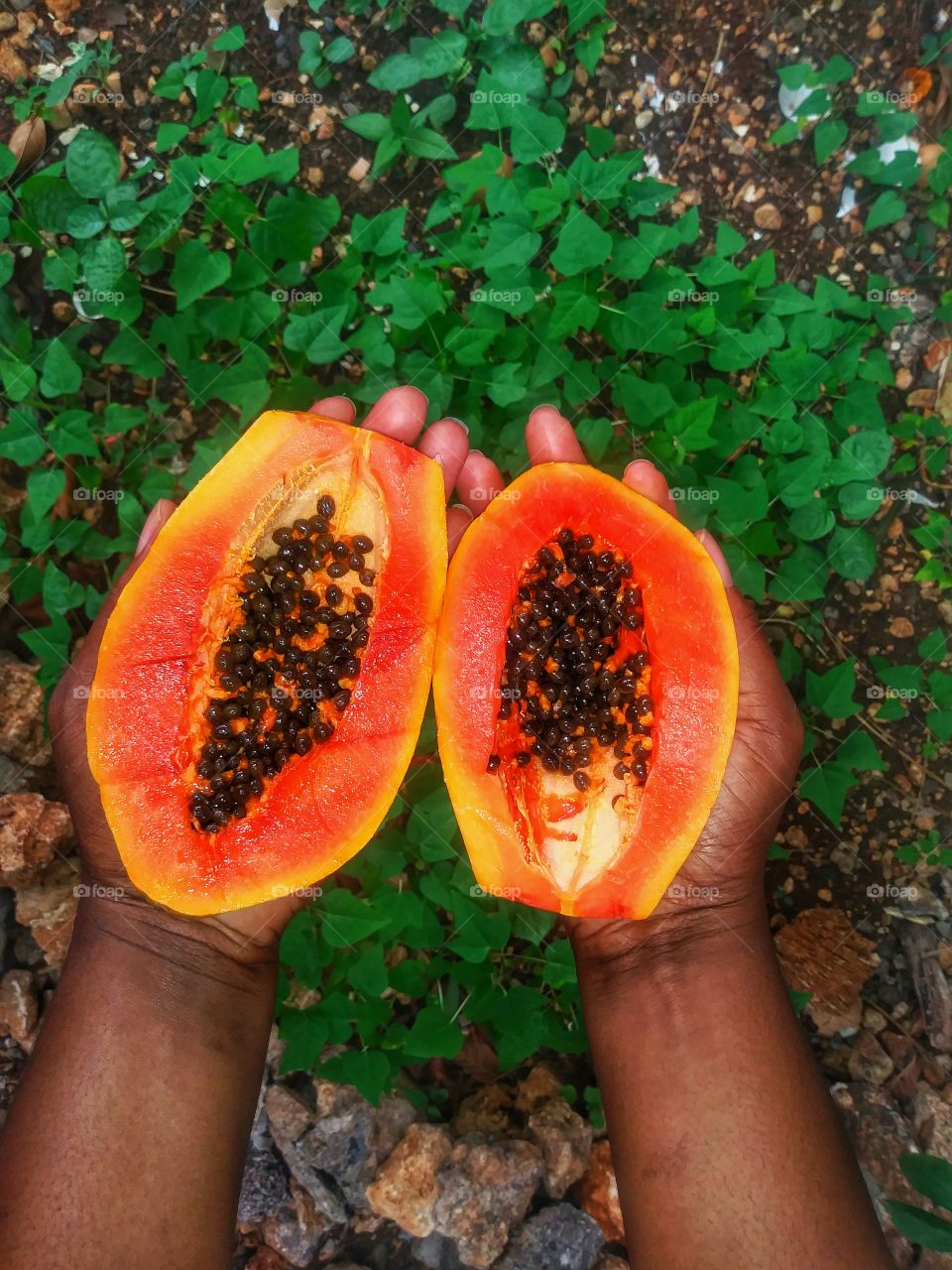 holding two halfs of a papaya
