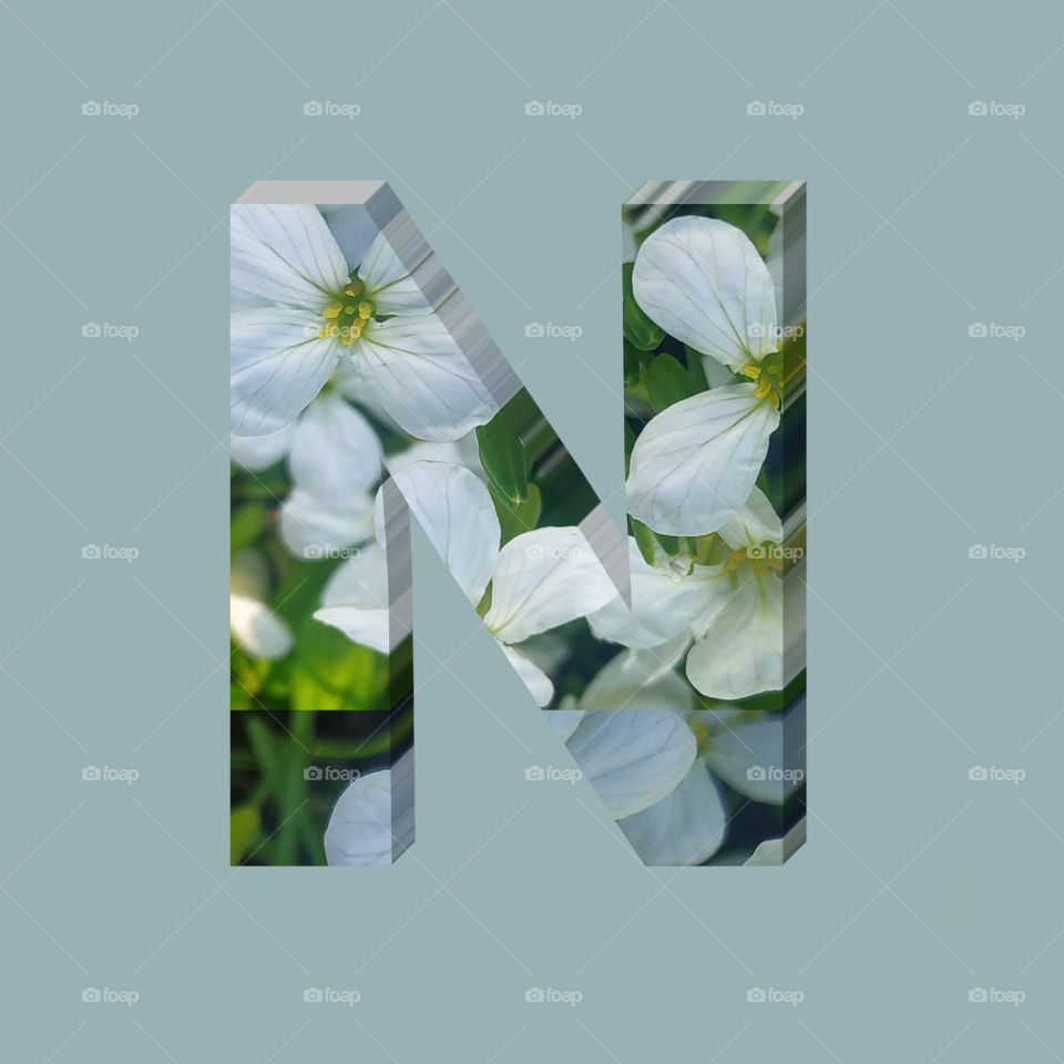 N alphabet 3d rendering of vertical white flowers alphabet