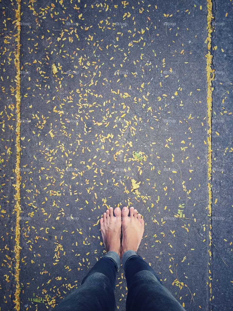 But I have a big tree stand beside me. These little yellow are their leaf. I feel cool with this. Nothing high temperature on my feet.