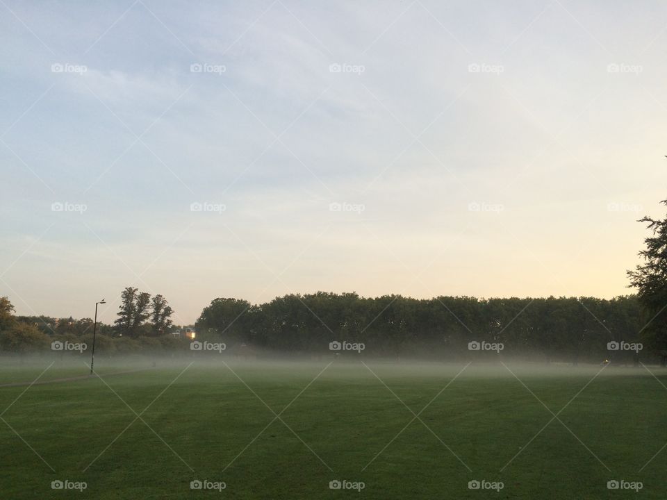 Foggy morning in a Cambridge park