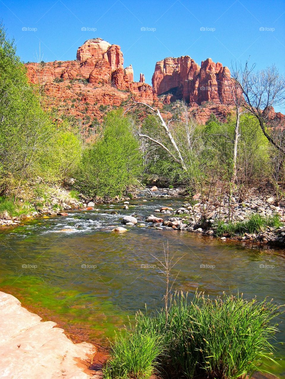 Red rock mountains