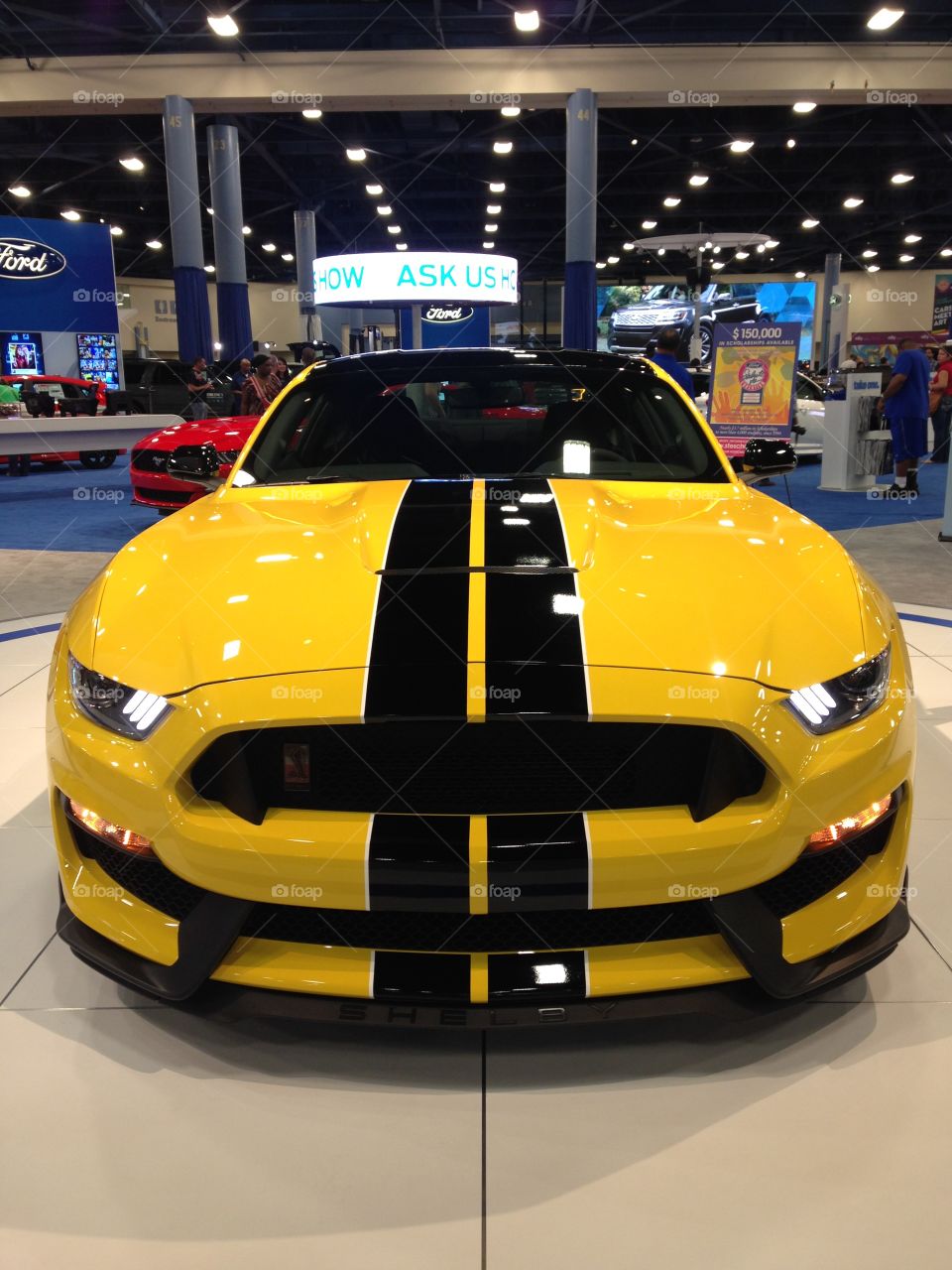 2016 Ford Mustang Shelby gt-350 at miami auto show