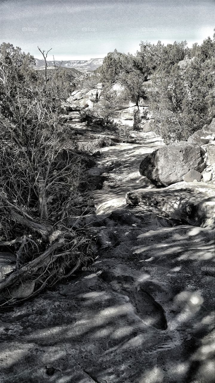 The power of water formed this solid rock ravine