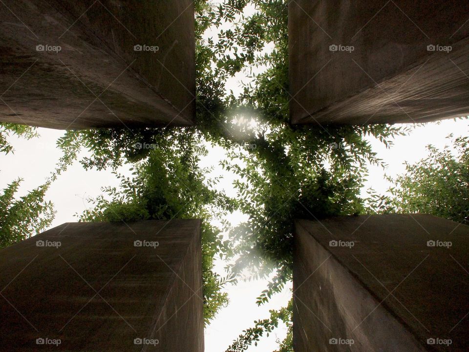 Berlin Holocaust Memorial columns with vegetation