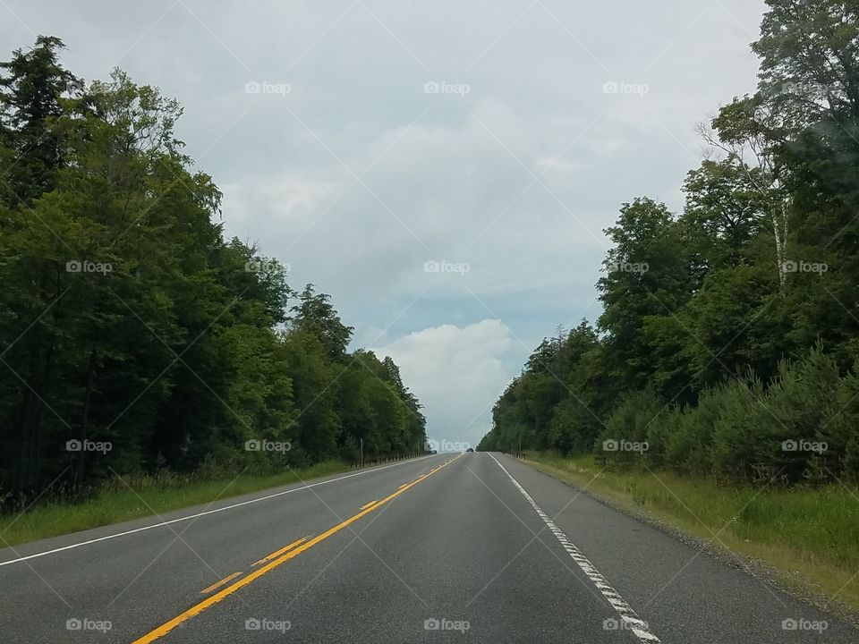 Road, Asphalt, No Person, Tree, Highway
