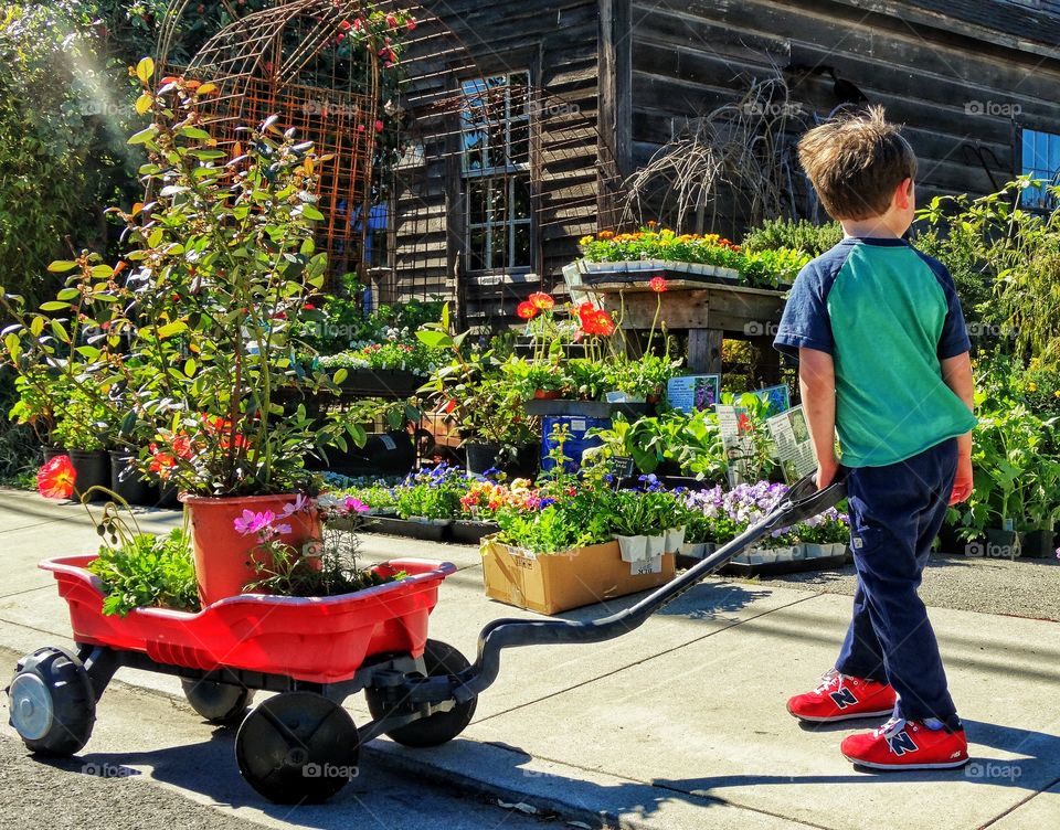 Young Boy Loading Up With Gardening Supplies