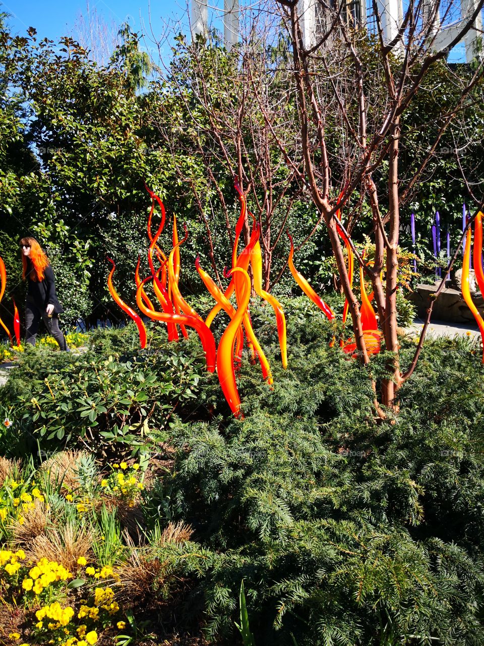 chihuly glass garden in Seattle, WA. so many colors.