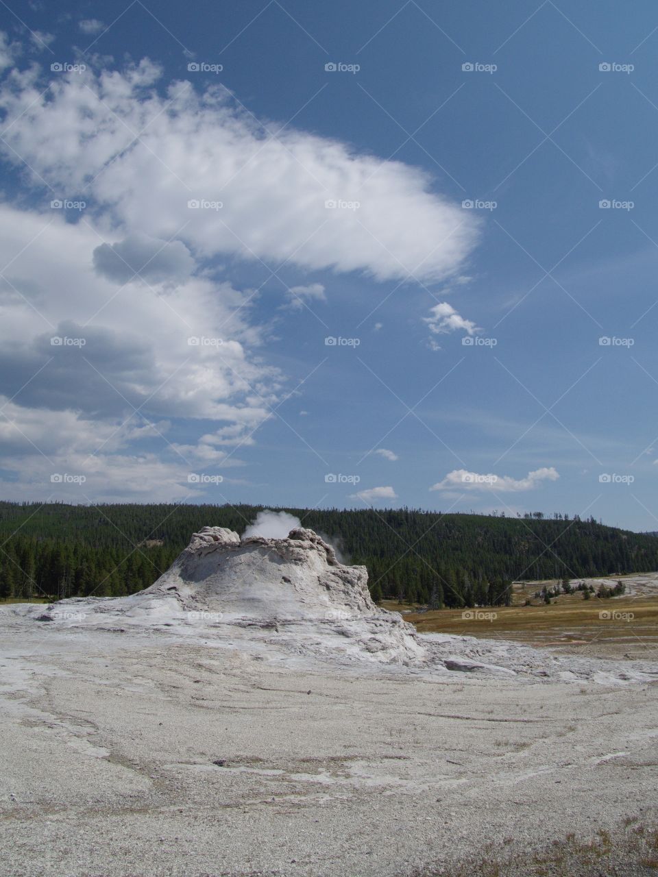 Castle Geyser on Geyser Hill in Yellowstone National Park steams before erupting on a sunny summer day. 