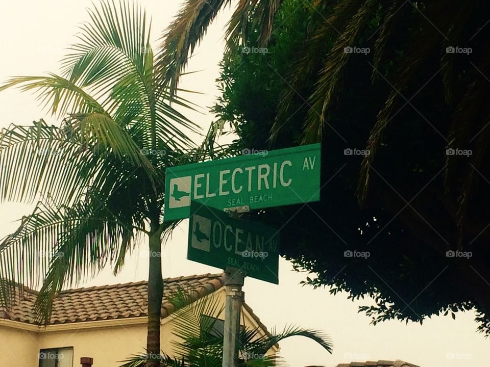 Electric ave