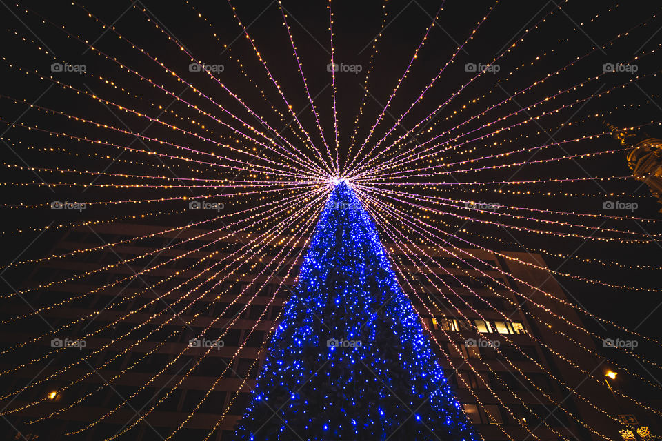 Outdoor Illuminated Christmas Tree With Blue Lights

