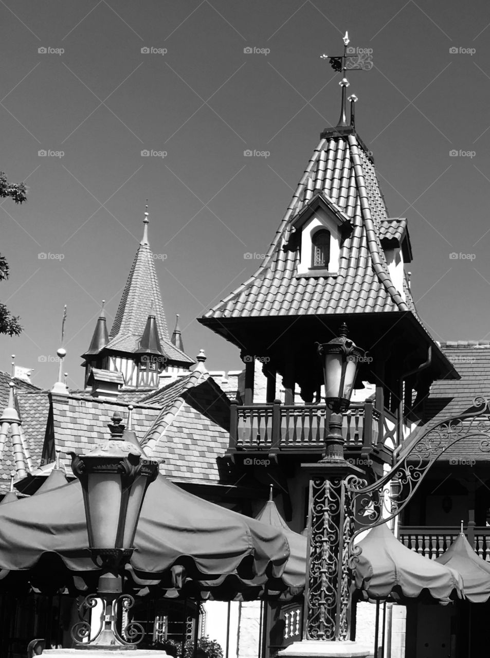 Rooftop images of European architecture. Pinocchio house in Walt Disney World. Black and white architecture. 