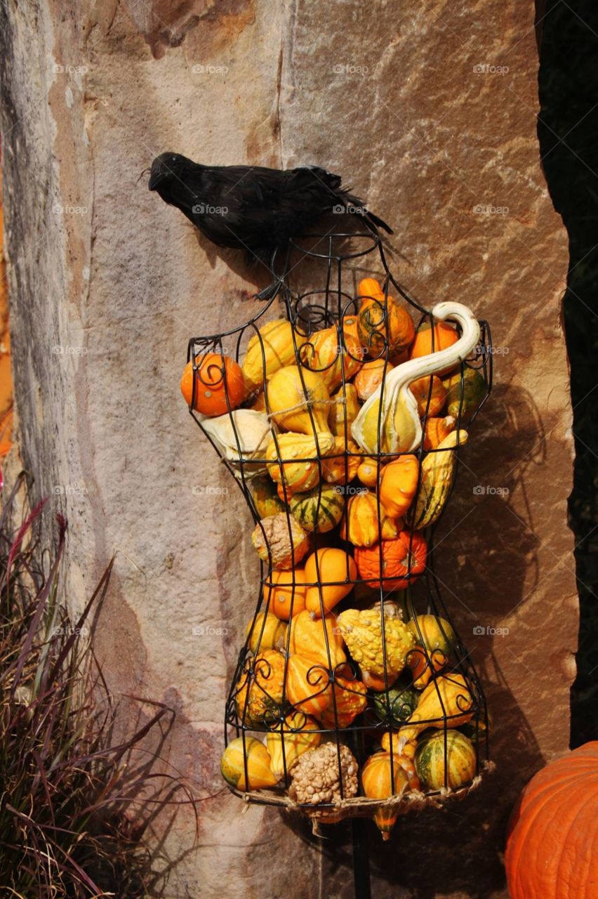 Gourd Filled Dress Form