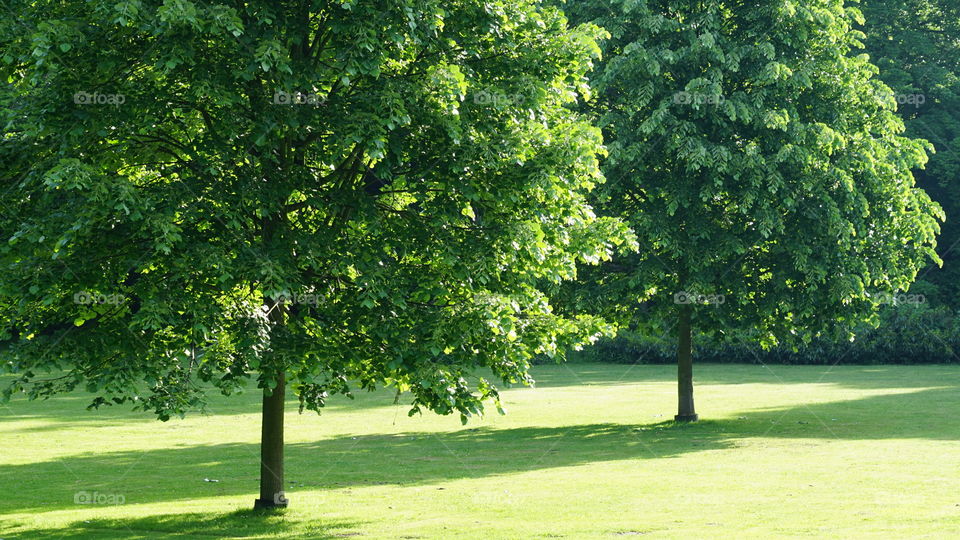 A sunny morning in Antwerp