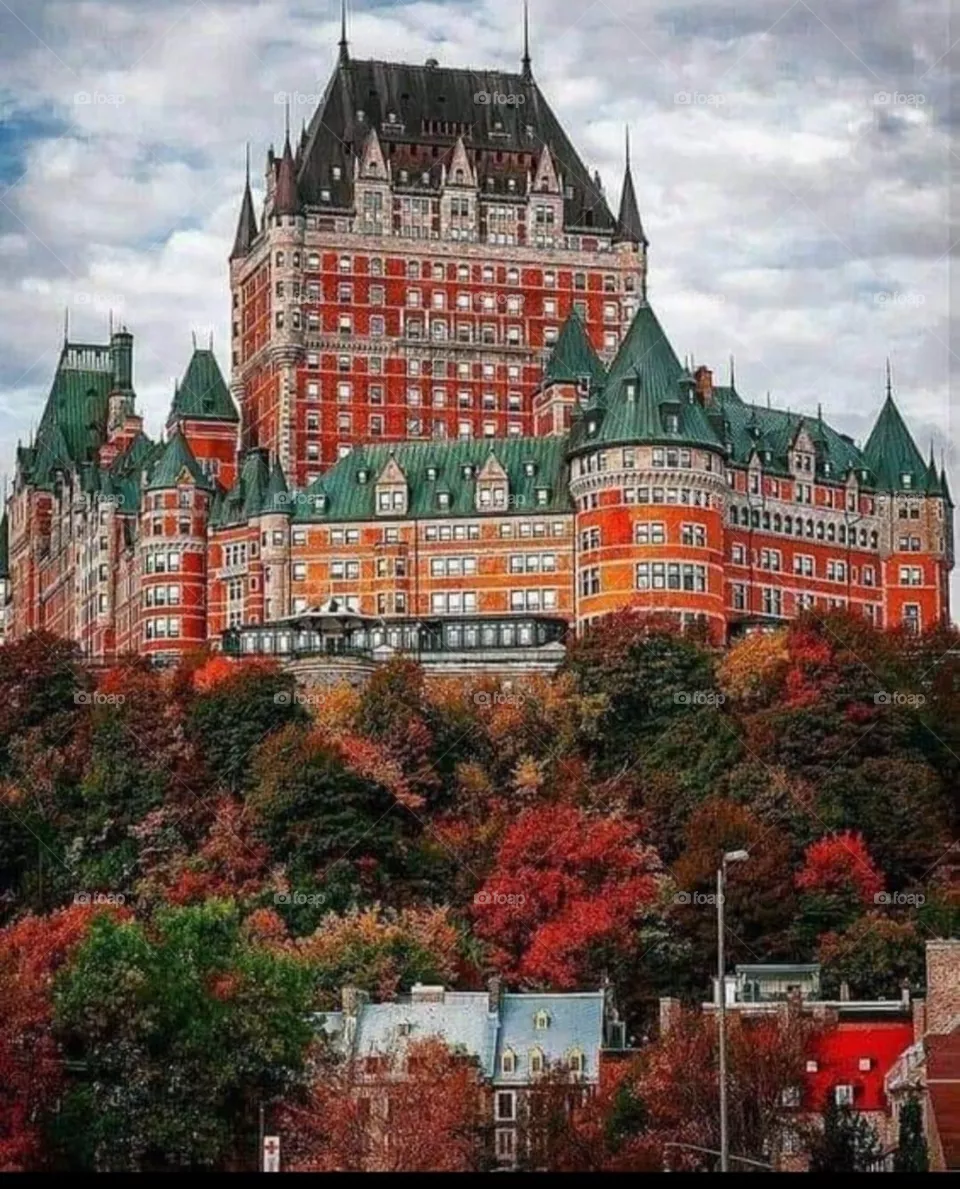 A castle 