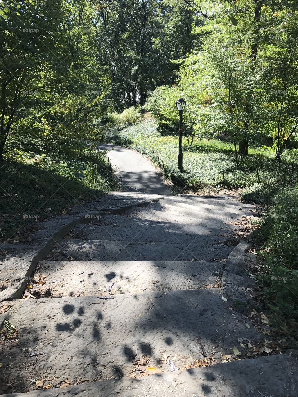 Central Park path NYC
