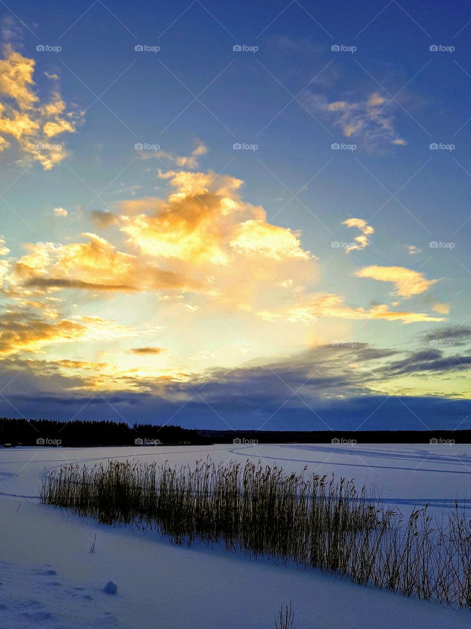 last day of the year