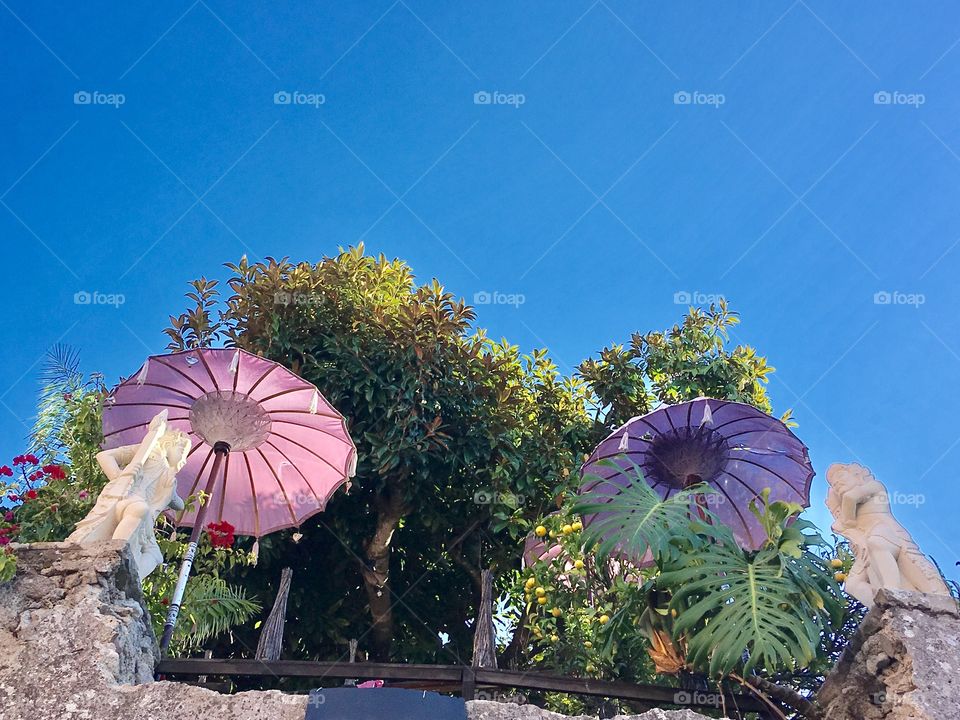 Just umbrellas in the sun 