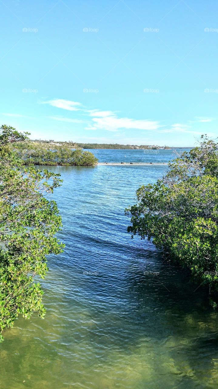Florida keys