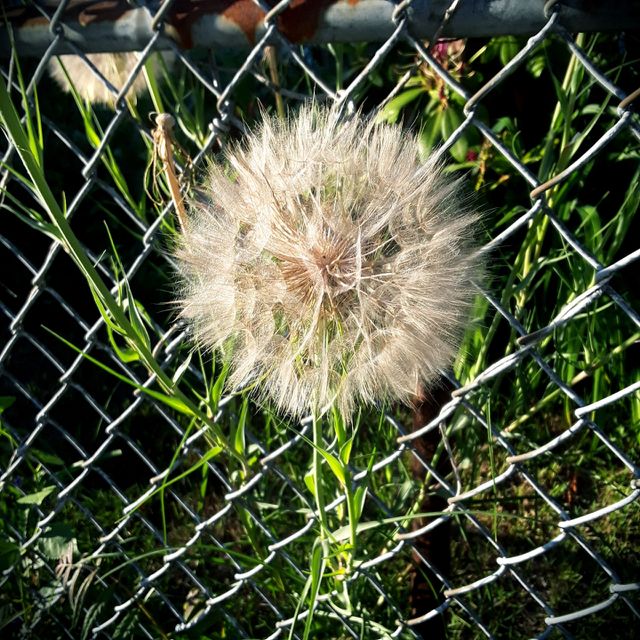 nature is perfect