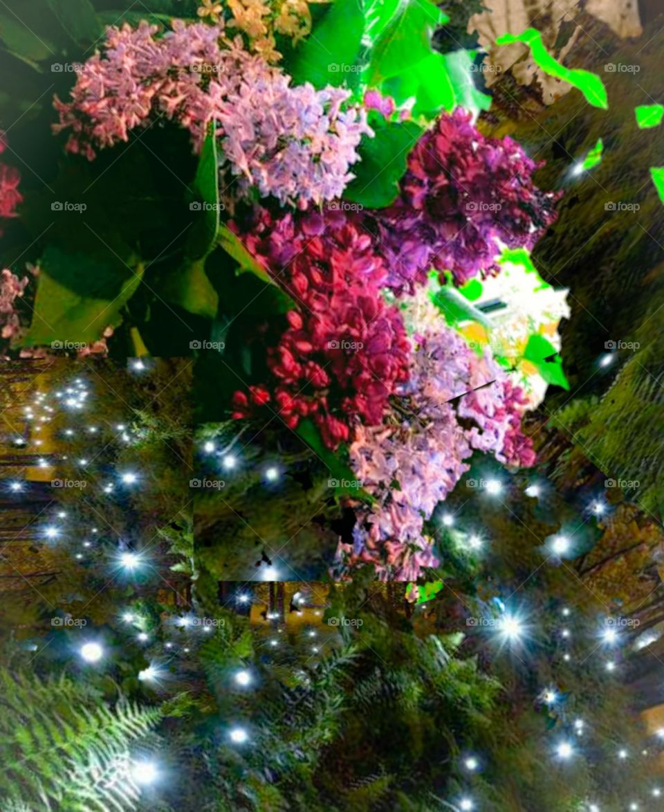 lilac Ferns and fireflies 3