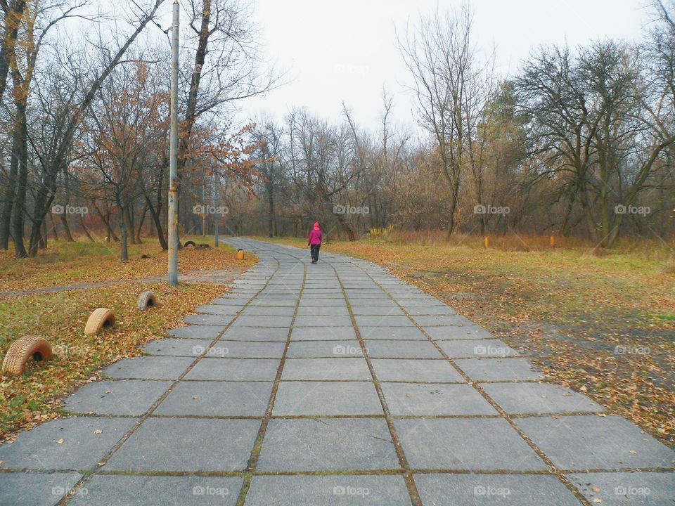 people walking on the road in the park, autumn 2016